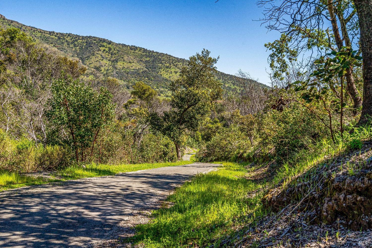 2077 Soda Canyon Road Napa, CA 94558 - Photo 13 of 26 a view of a yard with a tree