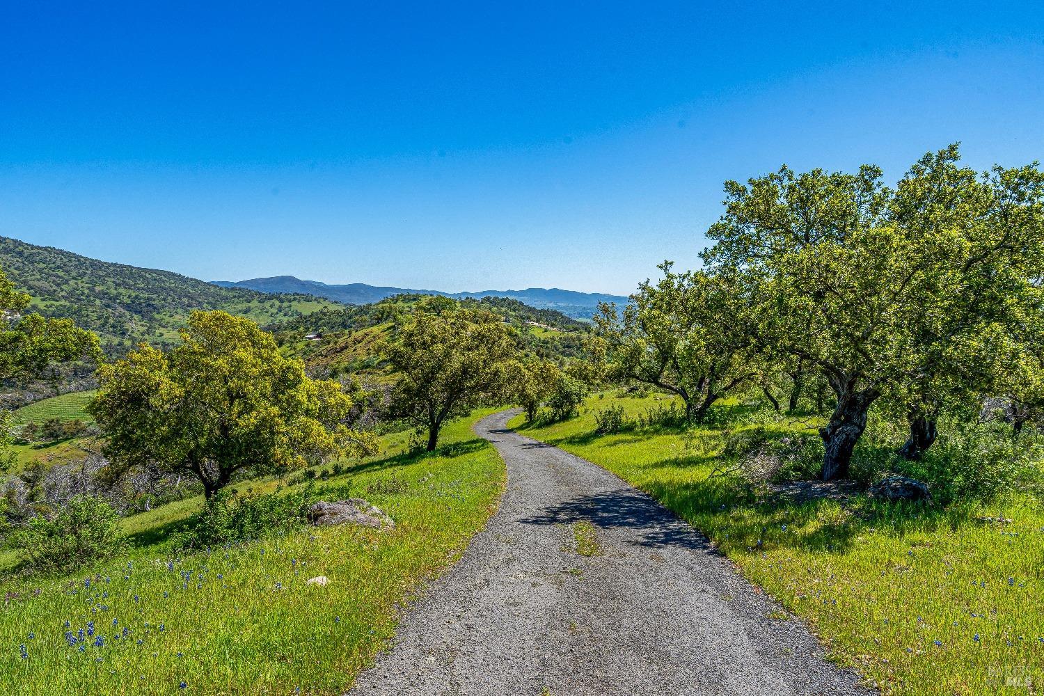2077 Soda Canyon Road Napa, CA 94558 - Photo 14 of 26 a view of a yard with a tree