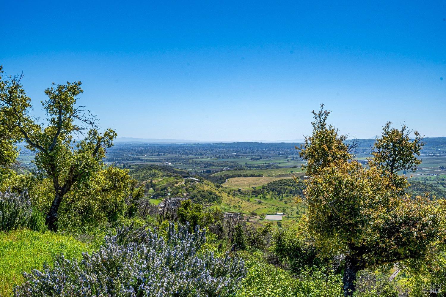 2077 Soda Canyon Road Napa, CA 94558 - Photo 19 of 26 a view of a field with plants and large trees