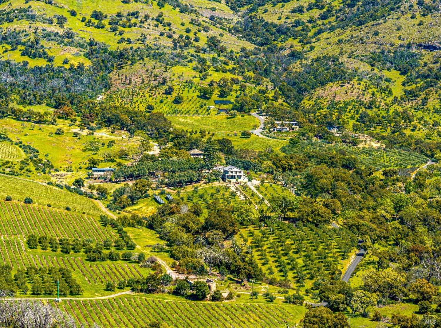 2077 Soda Canyon Road Napa, CA 94558 - Photo 24 of 26 a view of a large yard