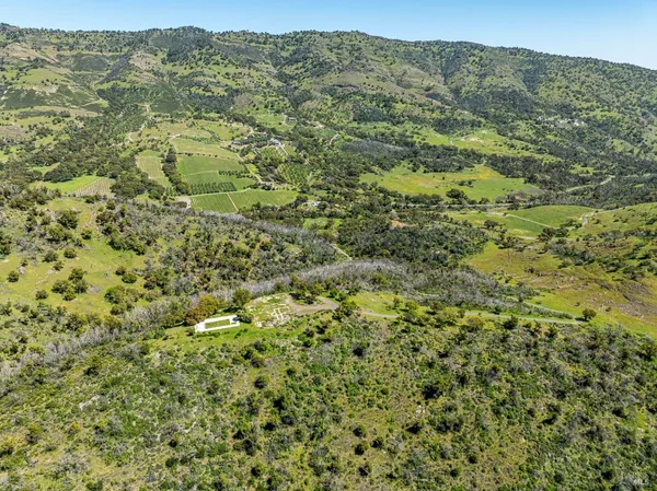 a view of a lush green hillside and houses