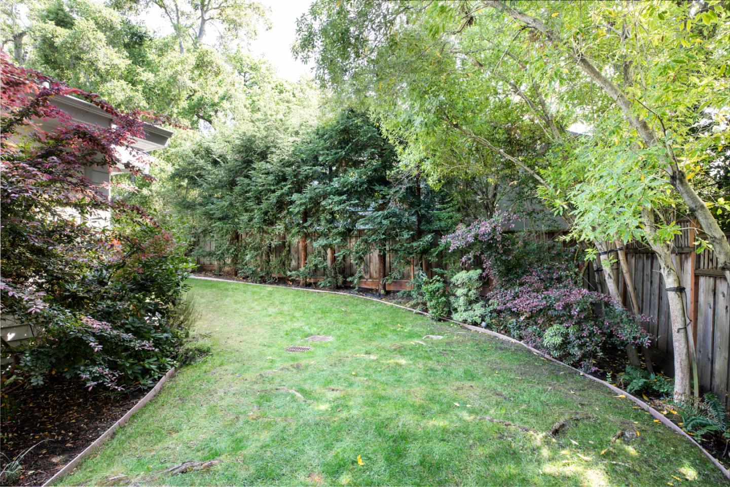 63 Ridge Court Woodside, CA 94062 - Photo 28 of 31 a view of a yard with plants and large trees