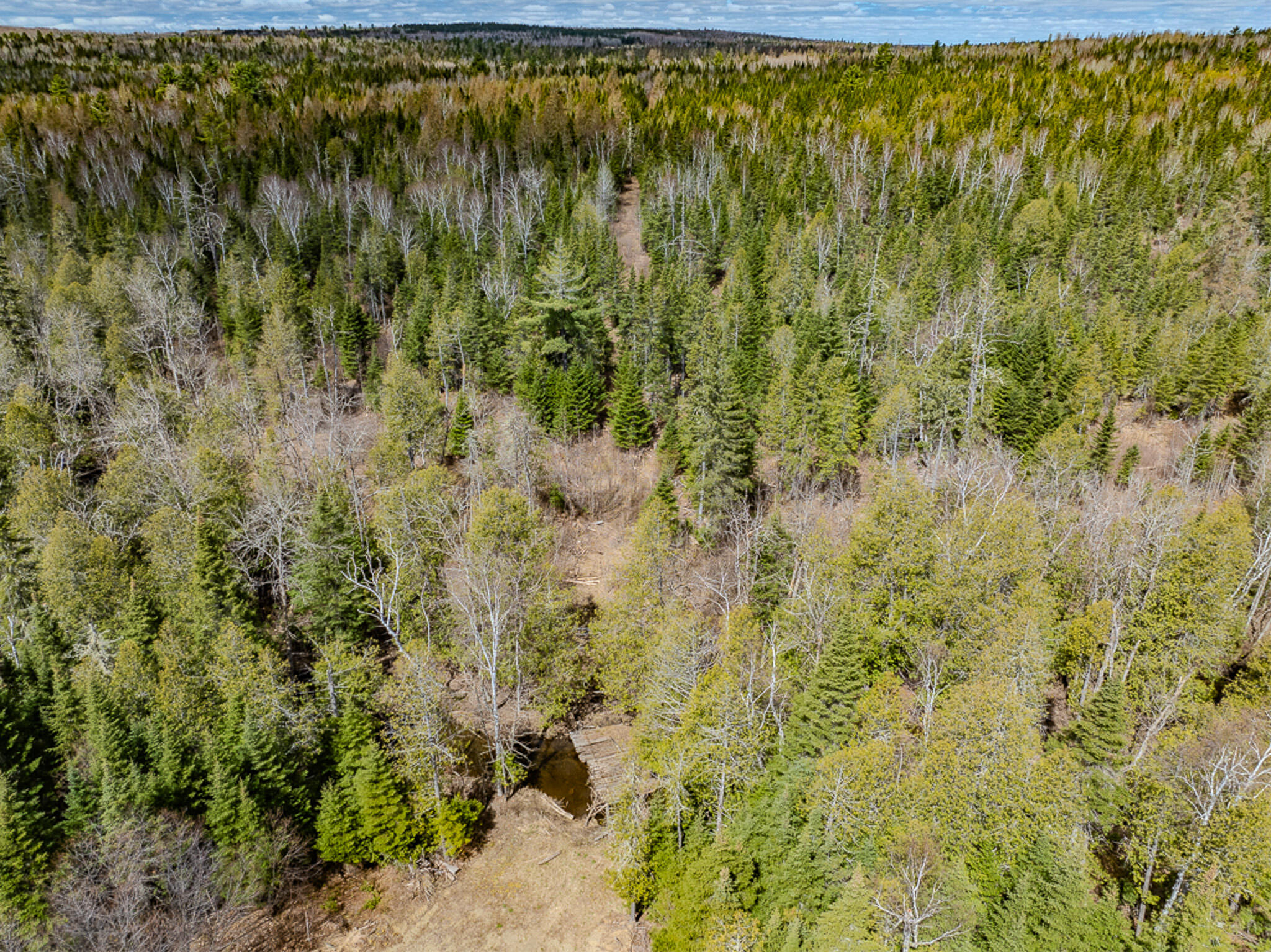 773 Wrightville Road Ashland, ME 04732 - Photo 16 of 21