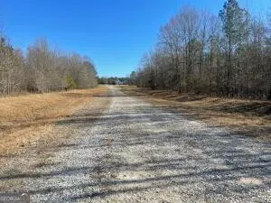 a view of dirt field with trees in background