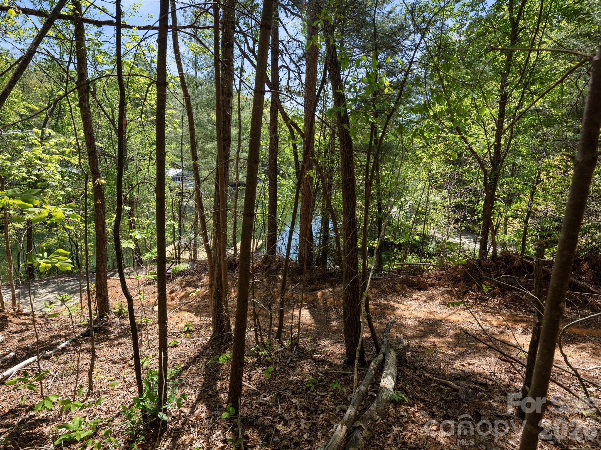 99999 North Lake Summit Road Zirconia, NC 28790 - Photo 12 of 18 a view of outdoor space and trees
