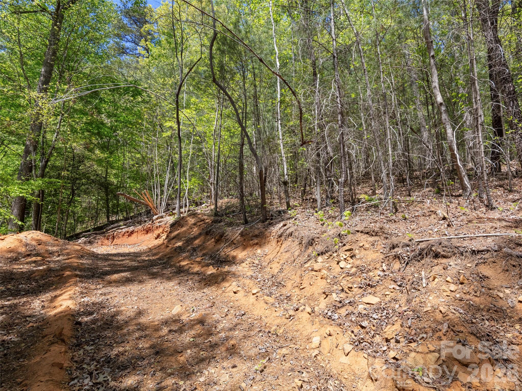 99999 North Lake Summit Road Zirconia, NC 28790 - Photo 13 of 18 a view of open space with trees