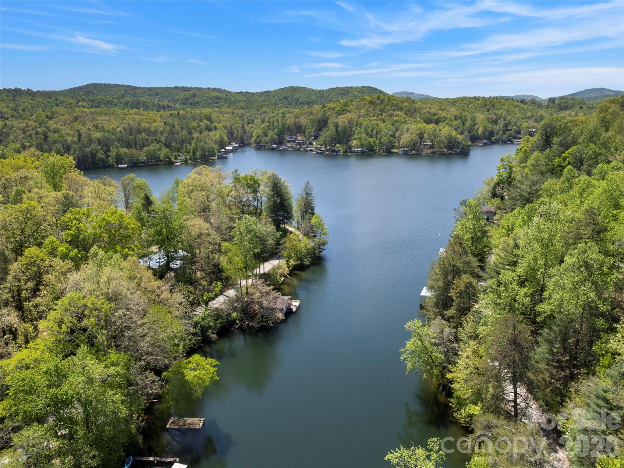 99999 North Lake Summit Road Zirconia, NC 28790 - Photo 15 of 18 a view of a lake with a mountain view