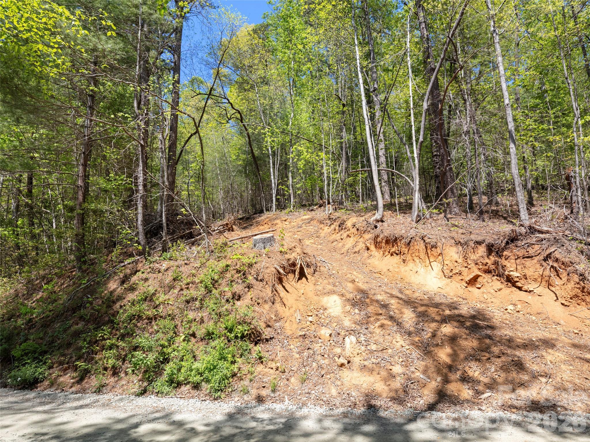99999 North Lake Summit Road Zirconia, NC 28790 - Photo 10 of 18 a view of a yard with large trees