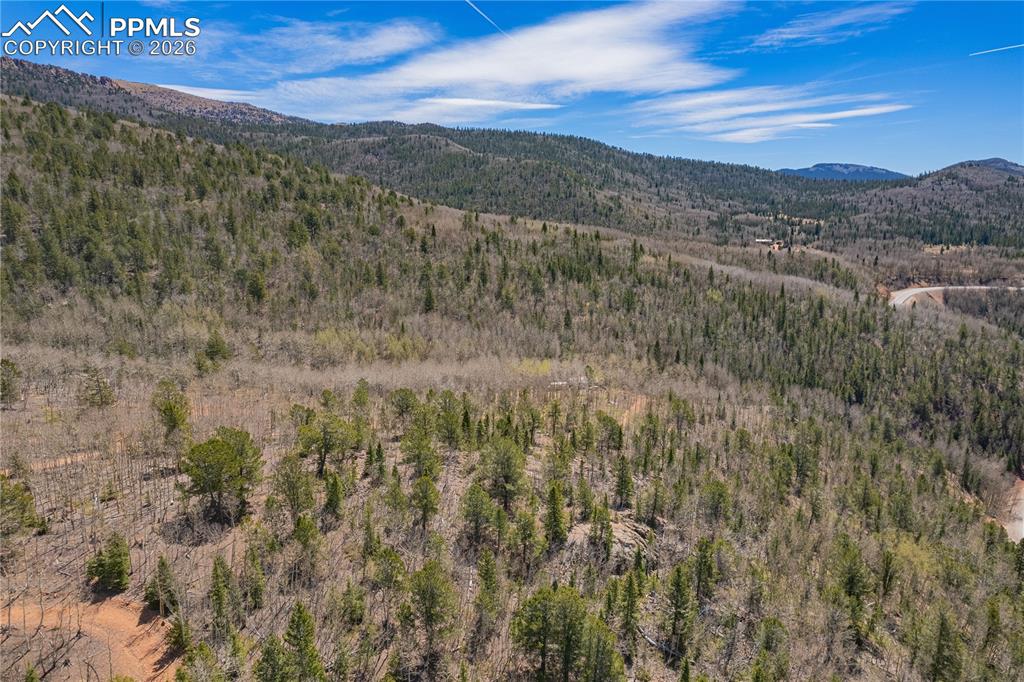 0 Highway 67 Divide, CO 80814 - Photo 2 of 7 a view of a forest with mountains in the background