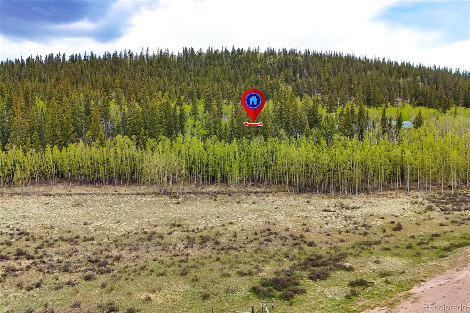 0 Michigan Hill Road Jefferson, CO 80456 - Photo 11 of 49 a view of a dry yard with trees