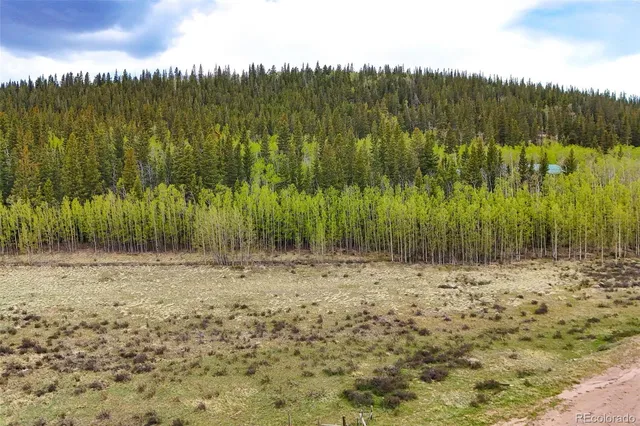 a view of a pathway with a yard