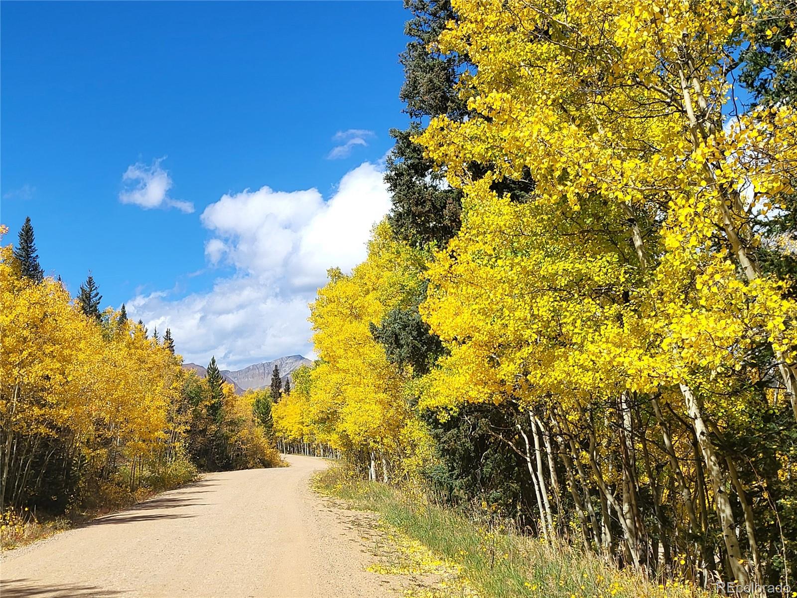 0 Michigan Hill Road Jefferson, CO 80456 - Photo 23 of 49 a view of a yard