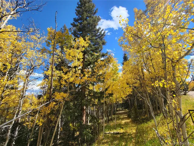 a picture of flowers