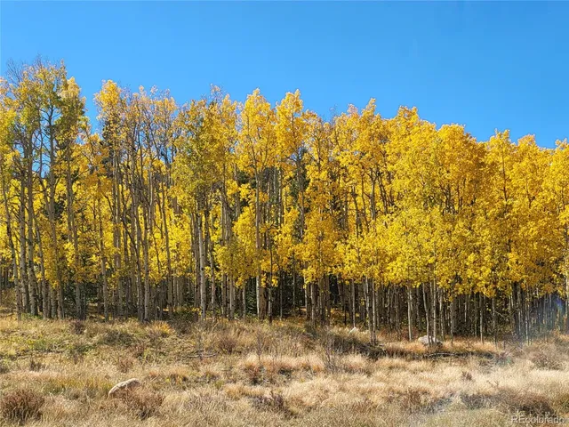 a view of yard from balcony