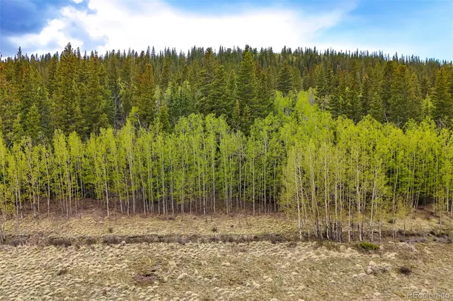 a view of a yard with trees in the background