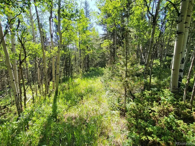 a view of a town with mountains in the background