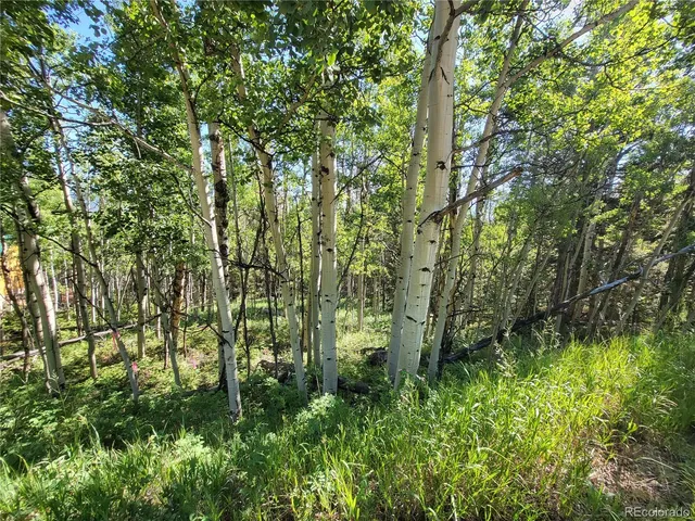$120,000 | 0 Michigan Hill Road, Jefferson, CO 80456