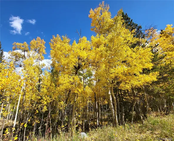 $120,000 | 0 Michigan Hill Road, Jefferson, CO 80456