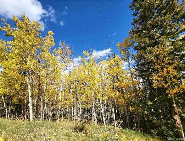 $85,000 | 0 Michigan Hill Road, Jefferson, CO 80456