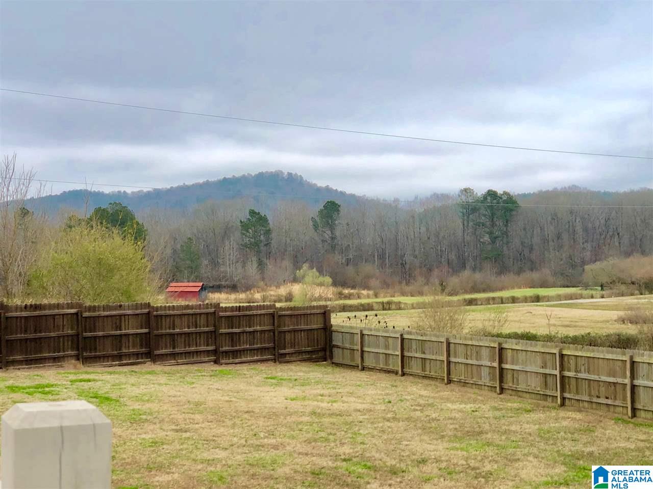 4838 Pleasant Valley Road Ashville, AL 35953 - Photo 34 of 50