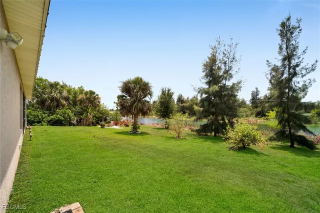 a view of a grassy field with trees