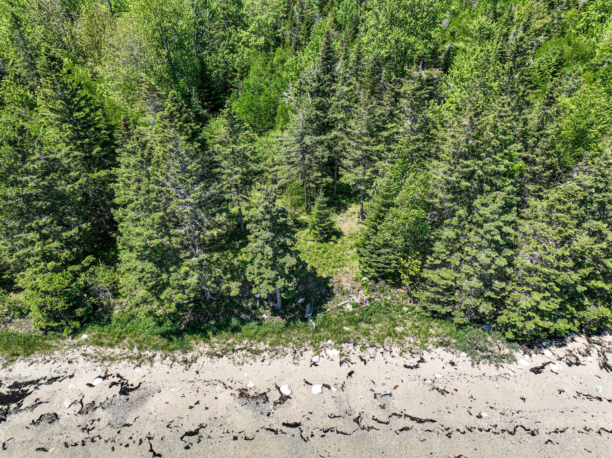 19 Peninsula Shore Road Corea, ME 04624 - Photo 33 of 41 DJI_0715