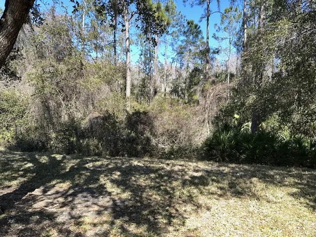 $2,100 | 3450 Chapel Creek Circle, Wesley Chapel, FL 33544