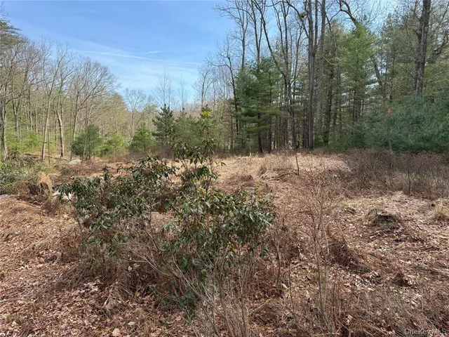 a view of a yard with trees