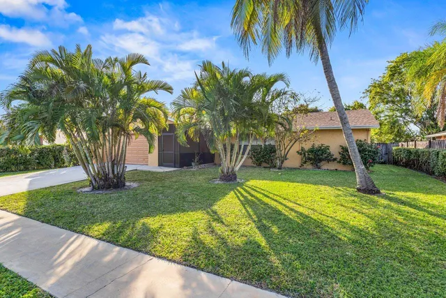 a view of a yard with palm trees