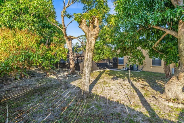 a view of a yard with plants and trees