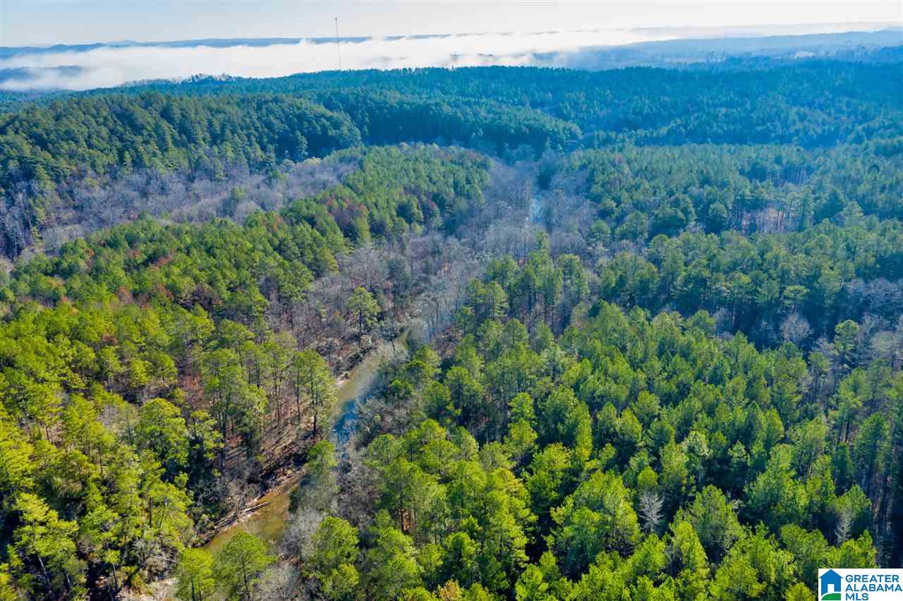 0 County Road 8, Unit 1 Clanton, AL 35045 - Photo 22 of 30