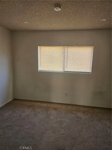 a view of a yard with plants