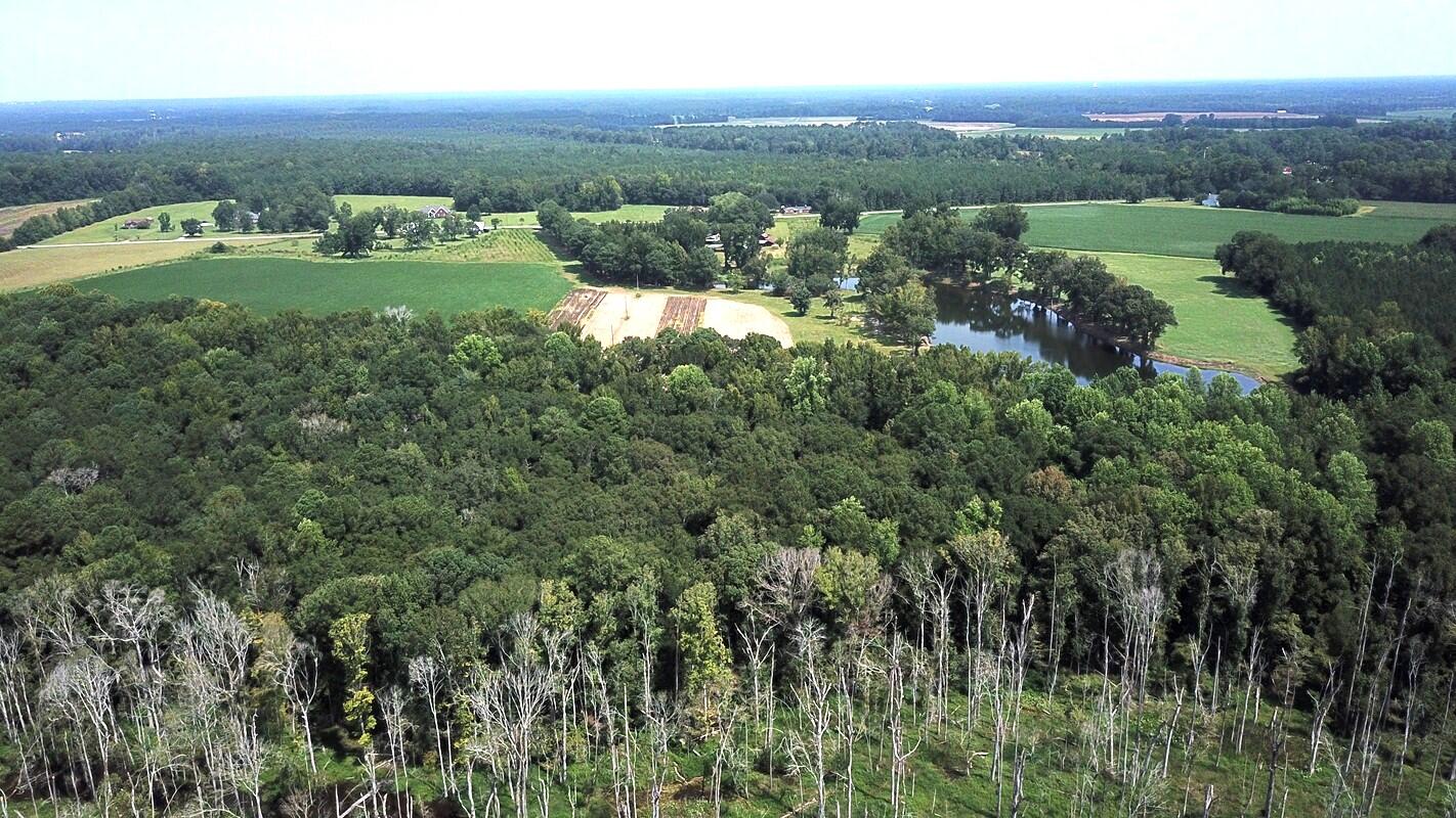 0 4 4 Holes Road Orangeburg, SC 29115 - Photo 7 of 31 DJI_0066