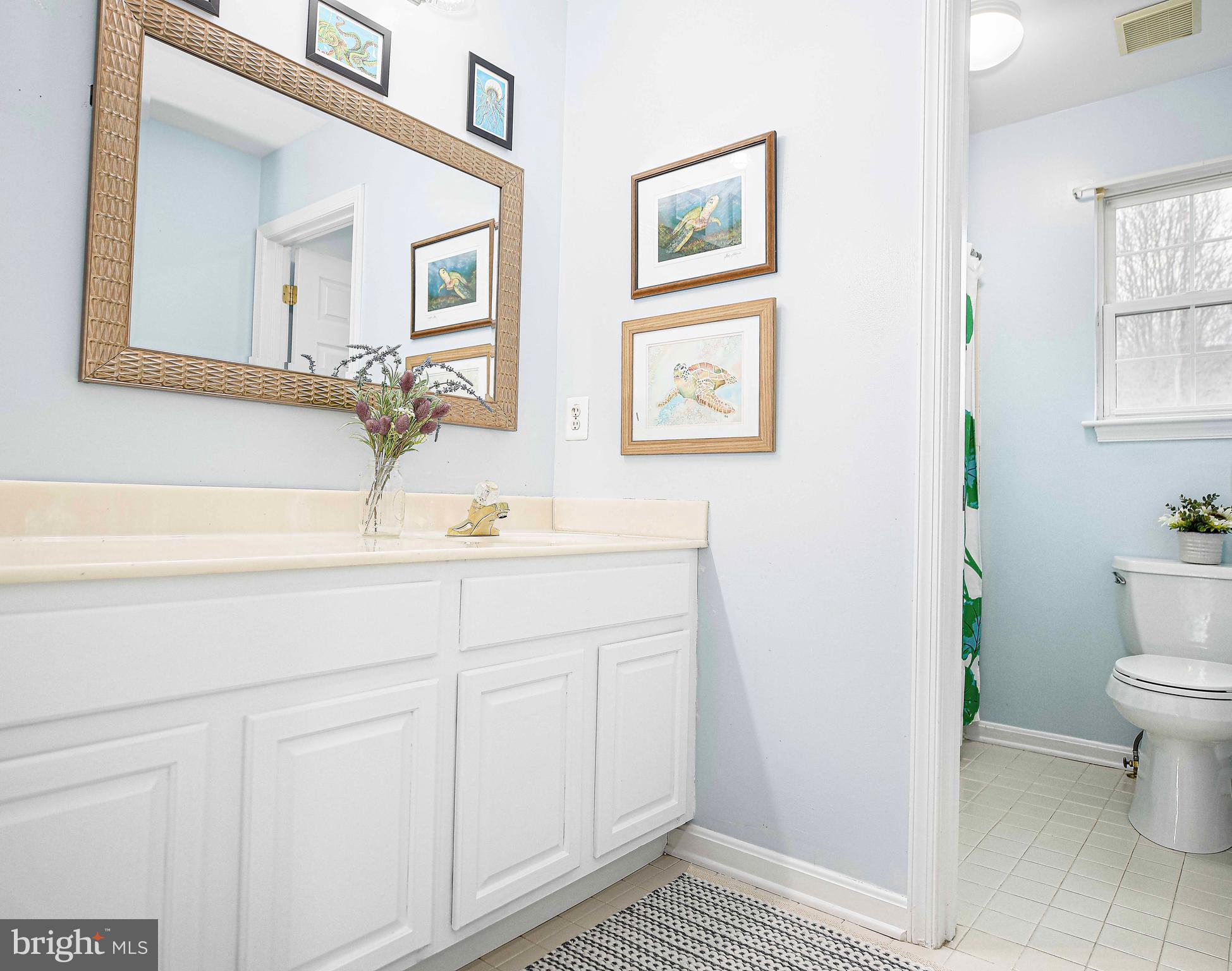 402 Hall Street Bel Air, MD 21014 - Photo 27 of 46 a bathroom with a sink a toilet and mirror