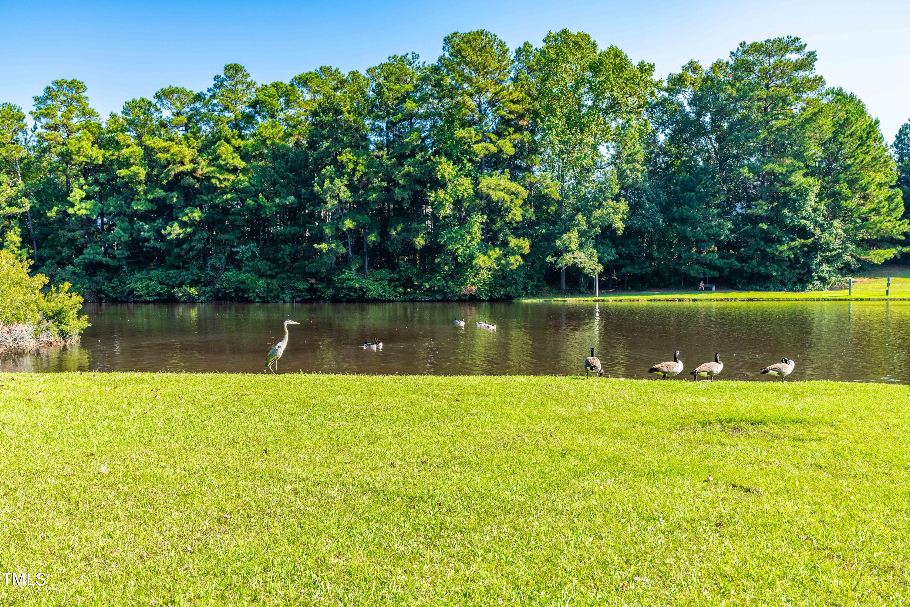 1305 Silver Beach Way Raleigh, NC 27606 - Photo 44 of 47 a view of a lake