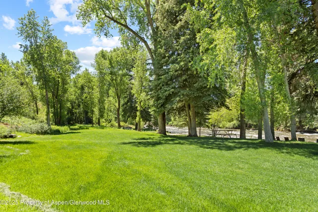 a view of backyard with trees