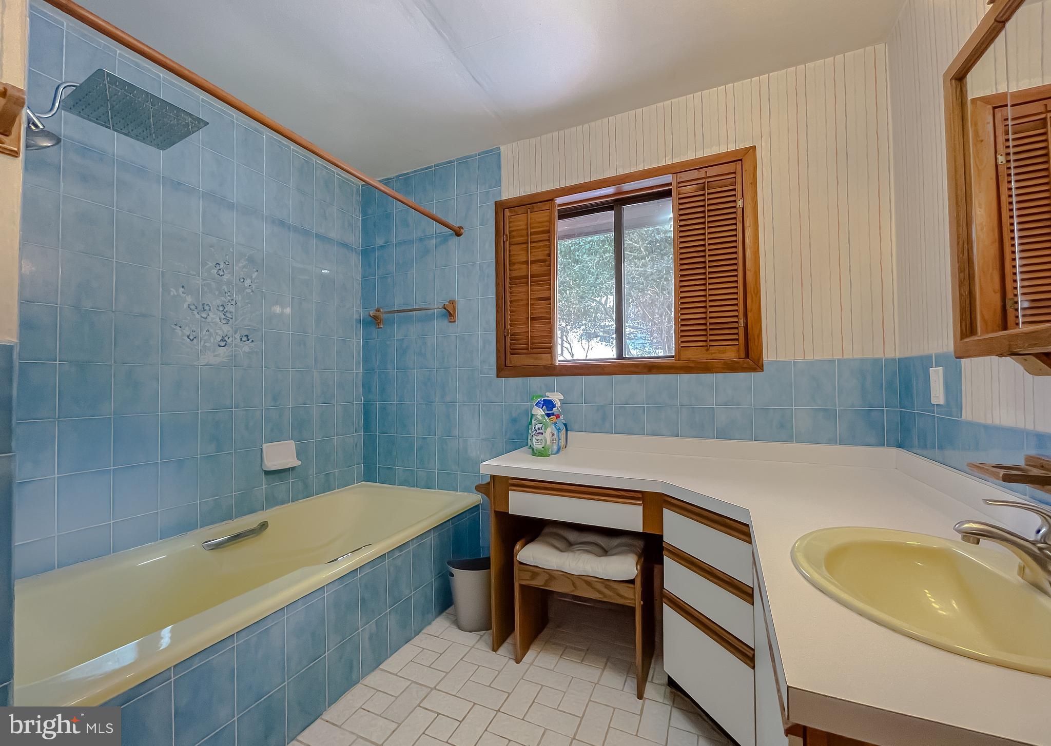 11525 Palo Alto Road Lusby, MD 20657 - Photo 47 of 74 a bathroom with a sink and a bathtub