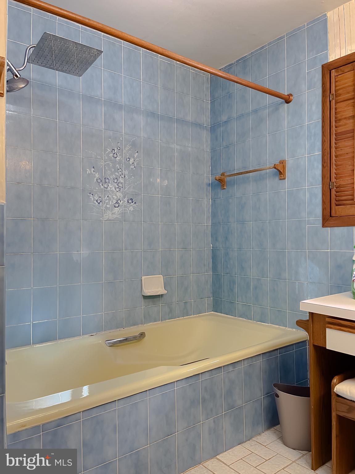 11525 Palo Alto Road Lusby, MD 20657 - Photo 48 of 74 a bathroom with a bathtub and shower