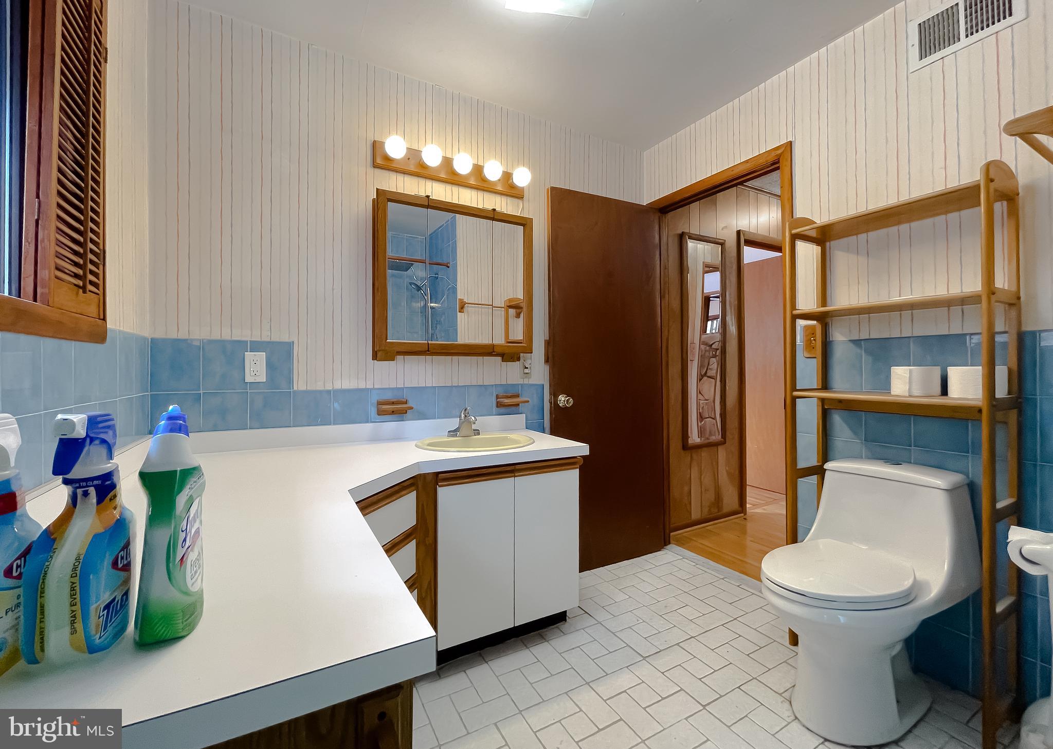 11525 Palo Alto Road Lusby, MD 20657 - Photo 49 of 74 a bathroom with a sink a toilet and shower