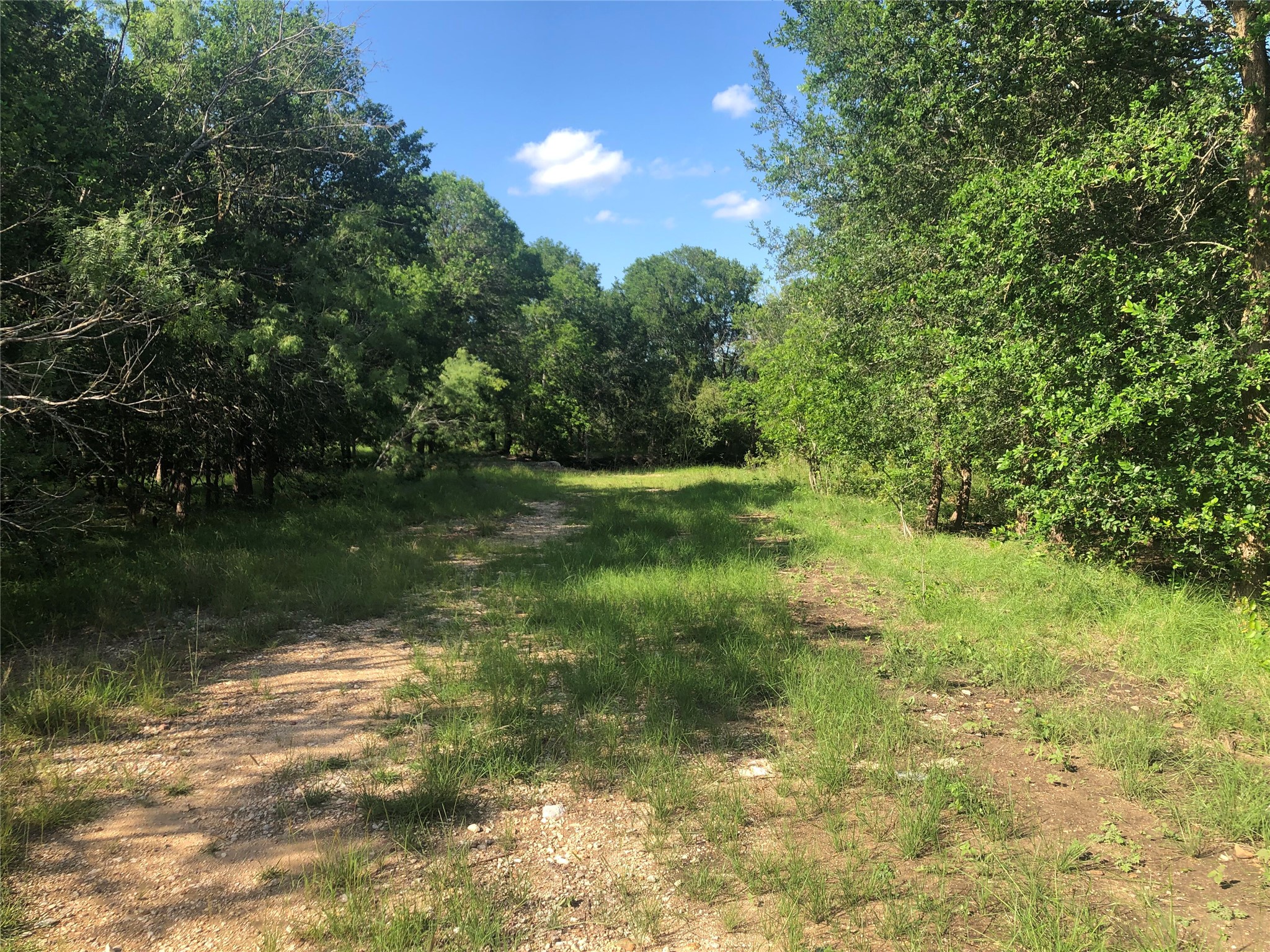 13414 Elm Grove Road Buda, TX 78610 - Photo 13 of 13 A verdant, well-lit parcel offers ample space for building, surrounded by mature trees and natural beauty.