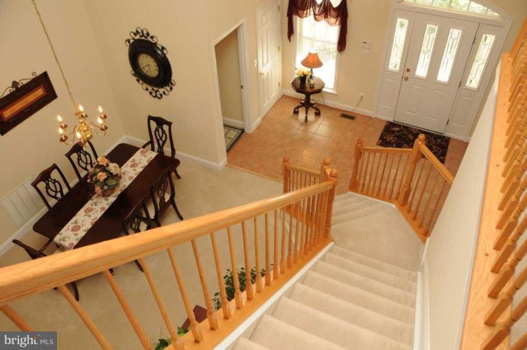 Entrance / Foyer