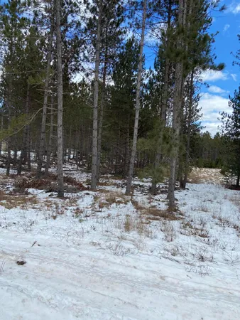 $29,500 | Lt2 Twin Lake Road, Dunbar, WI 54119
