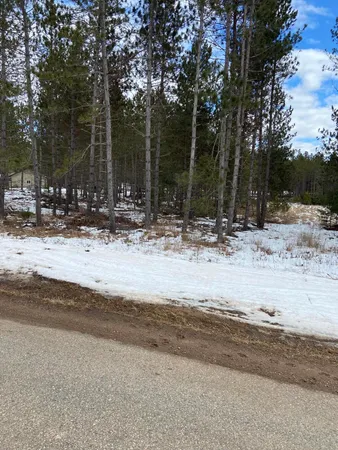 $29,500 | Lt2 Twin Lake Road, Dunbar, WI 54119