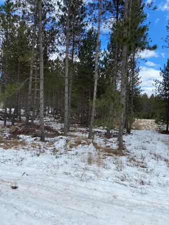 $29,500 | Lt2 Twin Lake Road, Dunbar, WI 54119