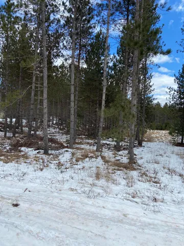 $32,500 | Lt2 Twin Lake Road, Dunbar, WI 54119