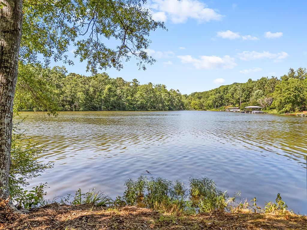 586 North Ruth Walker Road Waterloo, SC 29384 - Photo 14 of 20