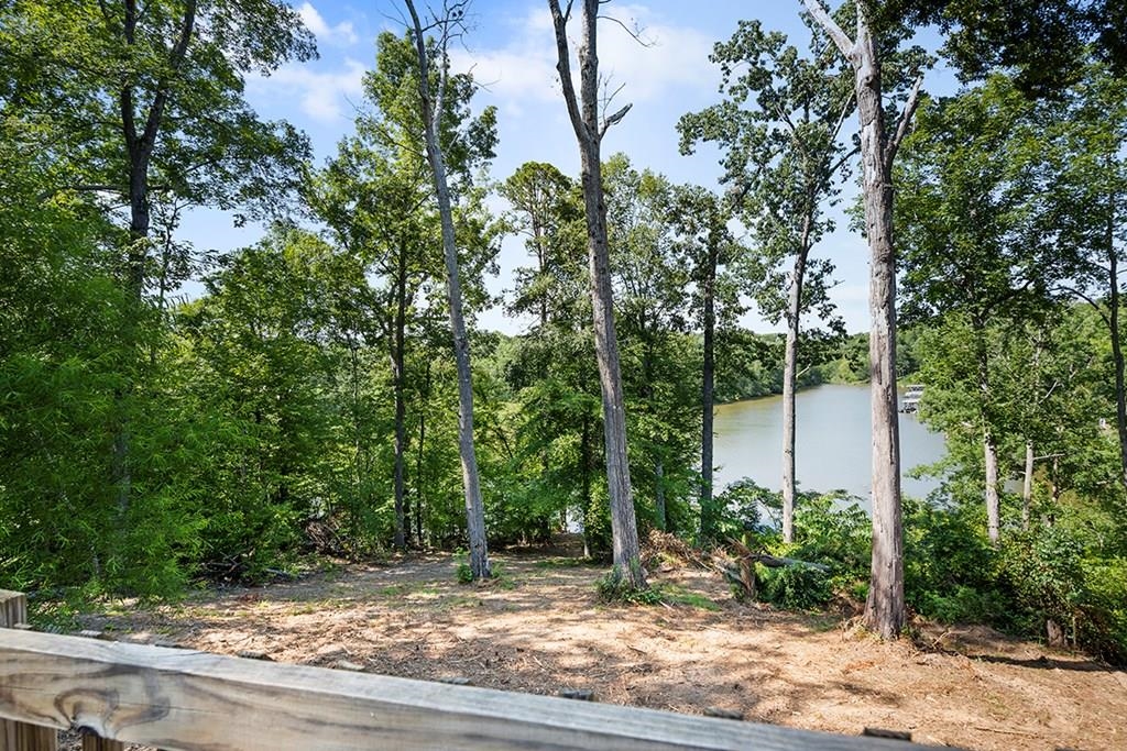 586 North Ruth Walker Road Waterloo, SC 29384 - Photo 19 of 20