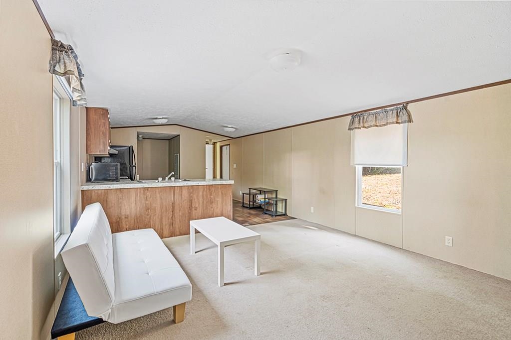 586 North Ruth Walker Road Waterloo, SC 29384 - Photo 9 of 20