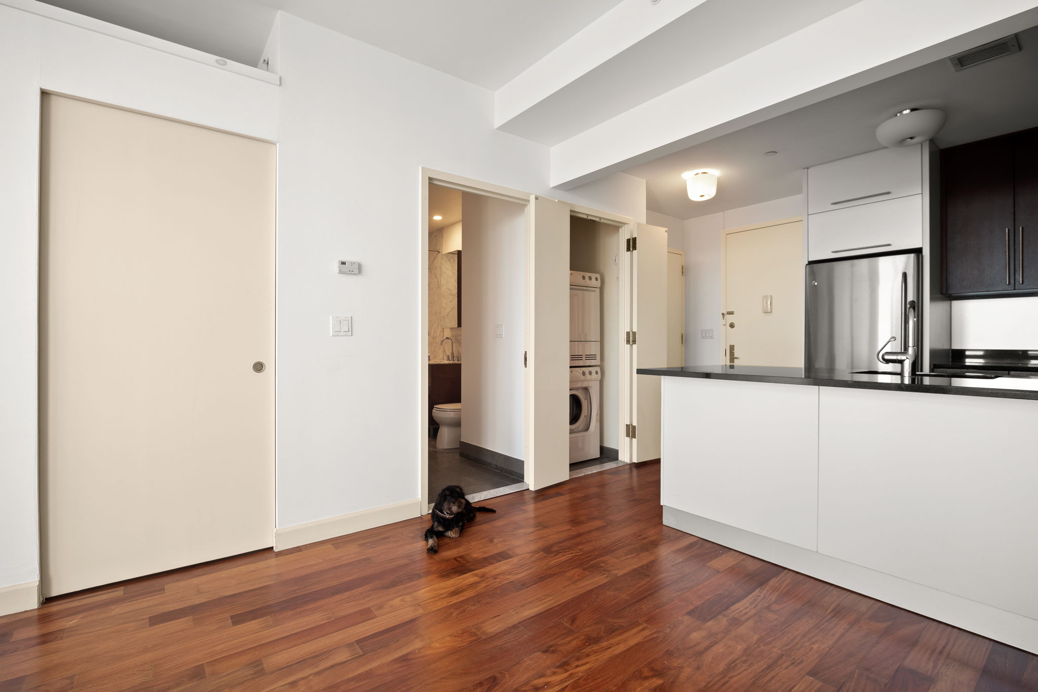 100 Jay Street, Unit 14D Brooklyn, NY 11201 - Photo 5 of 13