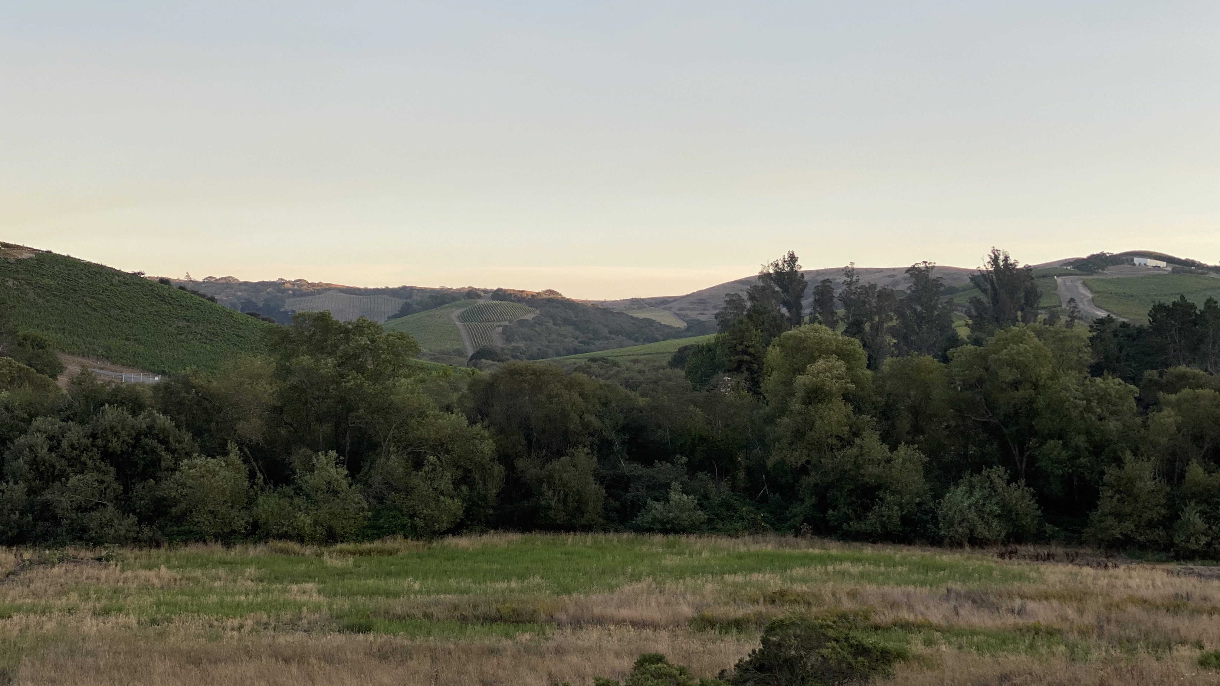 2980 Bloomfield Road Sebastopol, CA 95472 - Photo 11 of 31